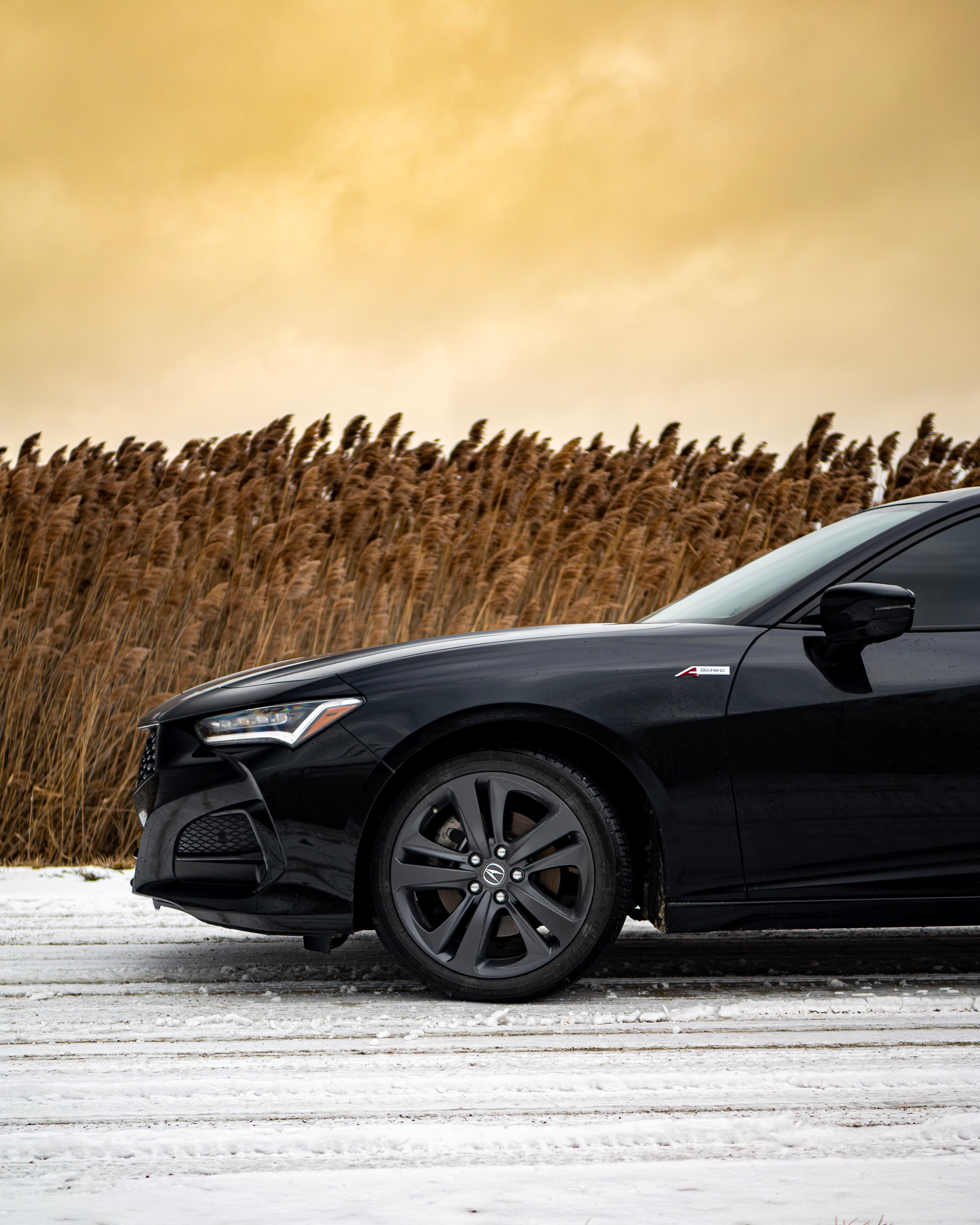 Illinois Car Photography Acura Tlx 09